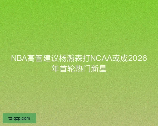 NBA高管建议杨瀚森打NCAA或成2026年首轮热门新星