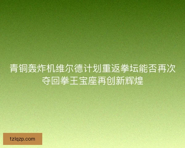 青铜轰炸机维尔德计划重返拳坛能否再次夺回拳王宝座再创新辉煌