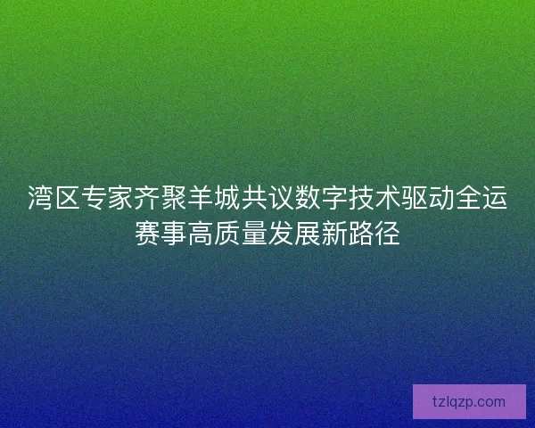湾区专家齐聚羊城共议数字技术驱动全运赛事高质量发展新路径