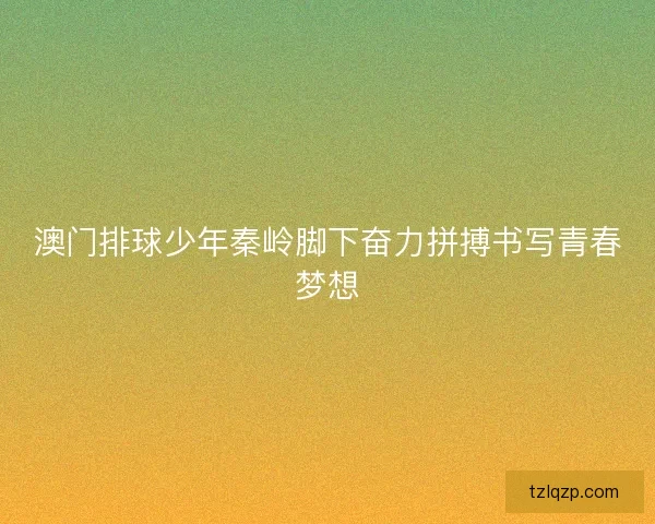 澳门排球少年秦岭脚下奋力拼搏书写青春梦想